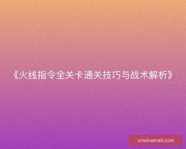 《火线指令全关卡通关技巧与战术解析》