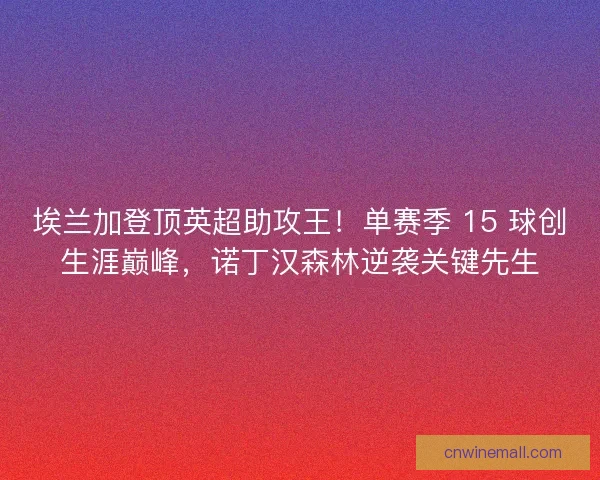 埃兰加登顶英超助攻王!单赛季 15 球创生涯巅峰,诺丁汉森林逆袭关键先生 埃兰加登顶英超助攻王!单赛季 15 球创生涯巅峰,诺丁汉森林逆袭关键先生