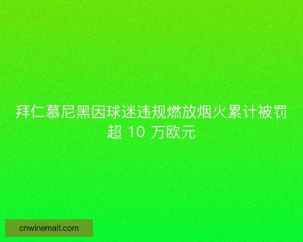 拜仁慕尼黑因球迷违规燃放烟火累计被罚超 10 万欧元