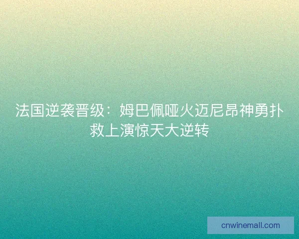 法国逆袭晋级：姆巴佩哑火迈尼昂神勇扑救上演惊天大逆转