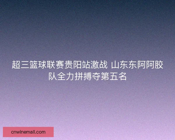 超三篮球联赛贵阳站激战 山东东阿阿胶队全力拼搏夺第五名