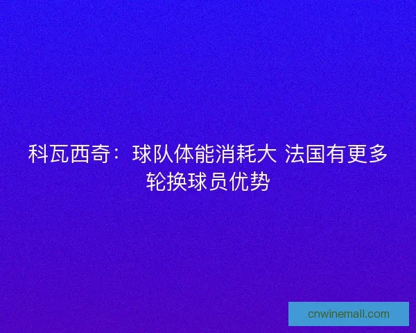 科瓦西奇：球队体能消耗大 法国有更多轮换球员优势