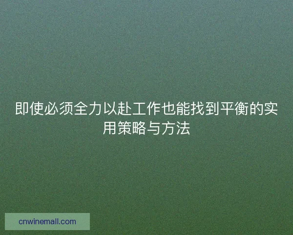 即使必须全力以赴工作也能找到平衡的实用策略与方法 即使必须全力以赴工作也能找到平衡的实用策略与方法
